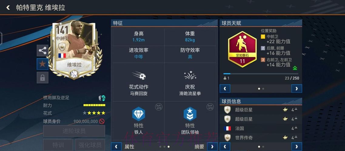 全面解析世界杯比赛数据平台